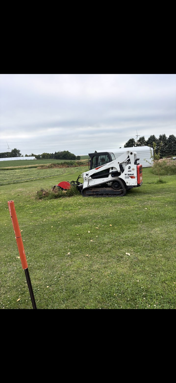 Stump Grinding