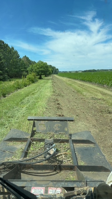 Land & Grove Clearing